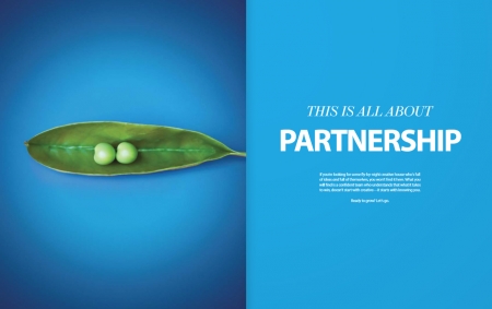 Cover Photo for Click the brochure image above to view our interactive booklet