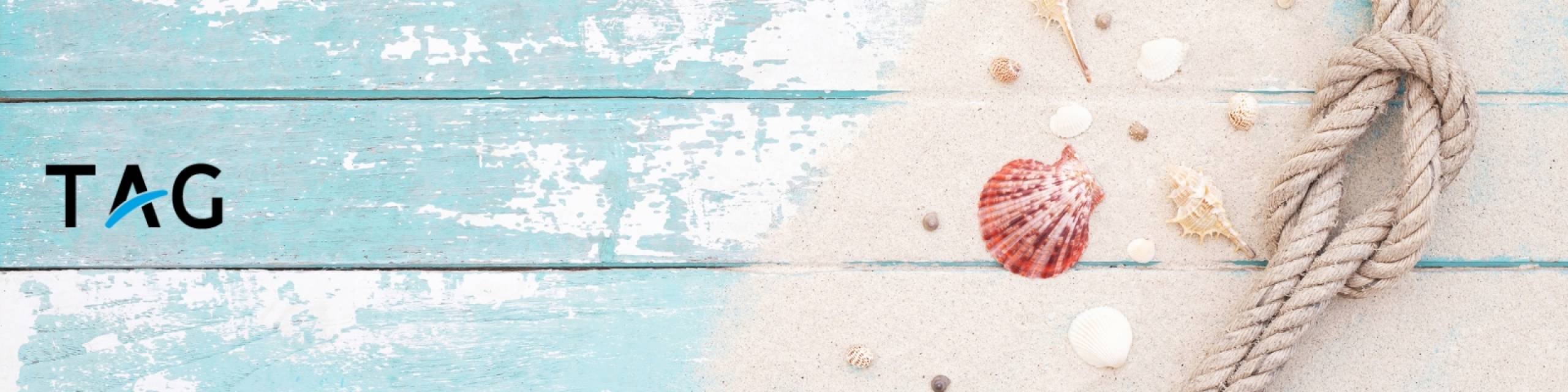 Sand and shells with TAG logo. 